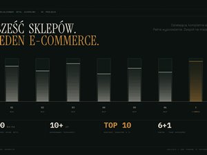 Sieć 6 wyspecjalizowanych sklepów alkoholowych, sklep internetowy, 10 mln przychodu, 10 lat na rynku