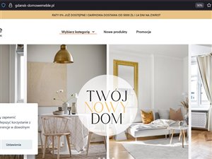 Sklep internetowy i Google Ads - 100 tys. przychodu - gotowy biznes