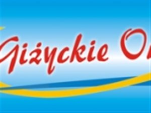 Sprzedaż majątku firmy w postaci łodzi i jachtów