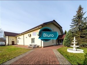 Międzynarodowy e-eommerce, branża motoryzacyjna