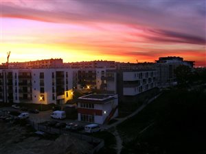 Firma gastronomiczna