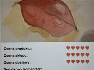 Sprzedaż działającego sklepu e-commerce -15 lat na rynku, branża kreatywna