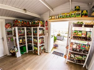 Dochodowe centrum ogrodnicze w świetnej lokalizacji