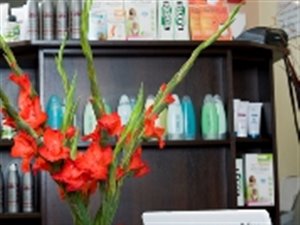 SPRZEDAM STUDIO ODCHUDZANIA I ODNOWY BIOLOGICZNEJ