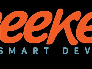 Sprzedam domenę geekee.pl - sklep internetowy z gadżetami