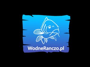 Łowisko , Bar , imprezy , lokale mieszkaniowe , budynek pod smażalnię