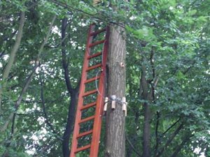 Park linowy w Kazimierzu Dolnym do sprzedania 