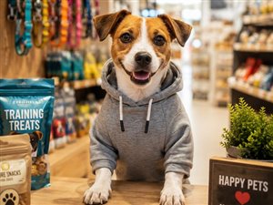ZCP e-commerce w branży pet care - apetete.pl i marki własne