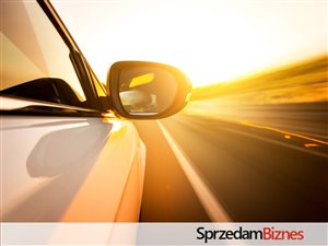 Firma, spółka z o.o. branża turystyczna i motoryzacyjna