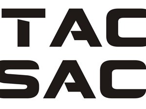 Sprzedam markę "Stacjakasacja.pl" pod stację demontażu pojazdów, skup aut i sprzedaż części samochodowych