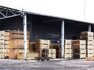 Tartak w Żaganiu