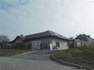 Importer i dystrybutor balonów art dekoracyjnych