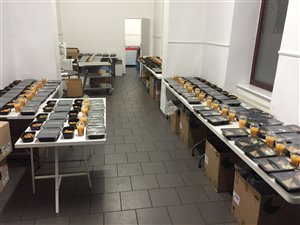 Katering dietetyczny Five Meals