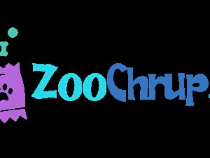 Gotowy biznes z minimalnym wkładem własnym – Internetowy sklep zoologiczny
