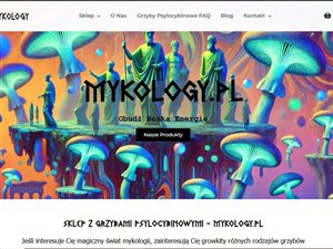 Gotowy biznes e-commerce z wysoką marżą oraz zaplecze produkcyjne