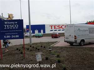 Sprzedam firmę OGRODNICZĄ i sprzątającą z kontaktami, pracownikami
