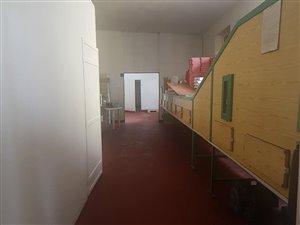 Firma W.A.S. duży dom, stawy, plantacja świerków, łącznie trzy hektary