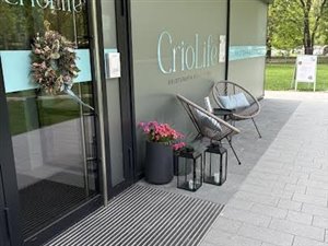 Pinie oddam w dobre ręce, miejsce z ogromnym potencjałem