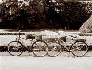 Sprzedam Mobilną Wypożyczalnię Rowerów - Trójmiasto