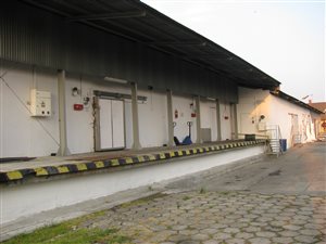 Skup i przetwórnia owoców