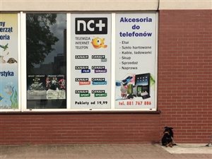 Sklep - akcesoria GSM oraz dystrybucja NC+