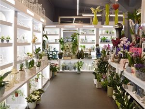  Kwiaciarnia Róża w centrum Gliwic