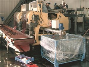 Działającą od 2004 roku Chłodnię owoców i warzyw przy głównej drodze 35 Wrocław -Wałbrzych