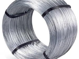 Firma z niszowym produktem - jedyny producent w Polsce, bardzo duże możliwości rozwoju