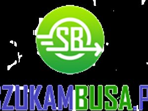Sprzedam portal internetowy, wyszukiwarka busów