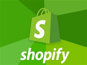 Sklep Shopify - 400k PLN przychodu w 2025 - 530k organicznych obserwujacych na IG i TT - AOV 225 PLN - bez reklam