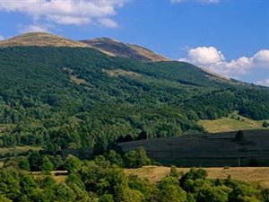 Biuro Nieruchomości - Bieszczady