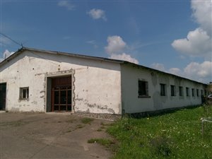 Ukraina - Firma Stolarnia, Tartak, drzwi, okna, meble, palety, magazyn 3800 m2 