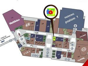 Sklep z zabawkami działający w sieci franczyzowej Toy Planet