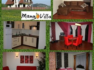 Sprzedam Pensjonat-apartamenty w górach, dom z klimatem i widokiem za milion $