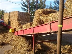 Kompletna linia do produkcji biopaliw / pelet