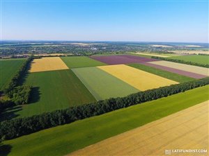 Farma, młyn i kompleks piekarniczy w Rumunii